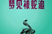 男人梦到被蛇追是什么意思_如何化解