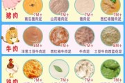 宝宝辅食猪肉泥怎么做_几个月可以吃猪肉泥