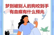 梦到狗怎么回事_梦见狗咬人什么预兆