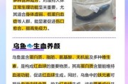 乌鱼宝宝可以吃吗_乌鱼宝宝食用禁忌