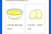 一岁宝宝发烧可以吃鸡蛋吗_宝宝发烧饮食注意事项