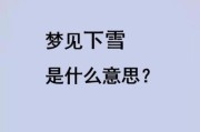 梦见下大雪是什么意思_梦见大雪纷飞代表什么