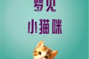 梦到一只小猫是什么意思_梦见小猫代表什么