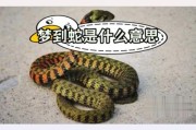 梦到蛇和蜈蚣是什么意思_梦到蛇和蜈蚣的吉凶预兆