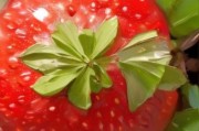 草莓图片大全大图_如何挑选高清草莓壁纸