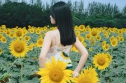 向日葵图片大全_如何拍摄出高级感