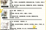 犬图片大全哪里找_小型犬品种图鉴