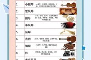 乐器大全有哪些_初学者如何挑选