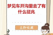 梦到开别人的车是什么意思_梦见开别人车预示什么