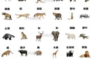各种动物图片大全_高清动物图鉴怎么找