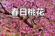 梦到桃花开是什么意思_梦见桃花盛开预示什么
