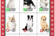 狗狗品种大全图片_如何挑选适合自己的狗狗