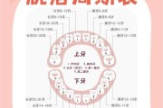 宝宝掉牙正常吗_乳牙脱落顺序