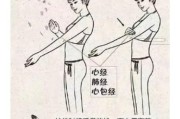 胳膊经络图片大全_胳膊经络堵塞怎么疏通