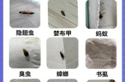 常见虫子种类大全图片_如何识别家中害虫