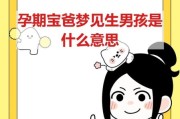 梦到怀孕生了个男孩_是什么意思