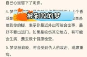 梦到被大狗咬是什么意思_如何化解