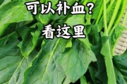 2岁宝宝贫血吃什么补血最快_食补还是药补