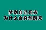 梦见过去的自己_为什么会梦到以前的自己