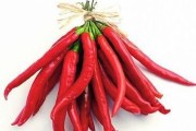 梦到红辣椒是什么意思_梦到红辣椒预示什么