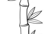 小学生画竹子图片大全_怎么画简单又好看