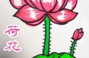 荷花怎么画_荷花简笔画步骤