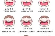 宝宝几个月开始长牙_乳牙萌出顺序图