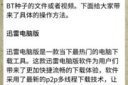 迅雷种子链接怎么下载_迅雷种子文件怎么用