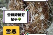 宝宝可以吃雪燕吗_雪燕多大能吃