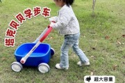 宝宝学步推车有必要买吗_如何挑选安全学步推车