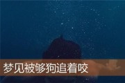 梦见狗追我是什么意思_被狗追咬怎么化解