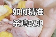 杀鸡图片大全_如何正确杀鸡