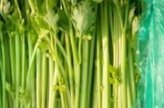 芹菜图片大全_芹菜长什么样