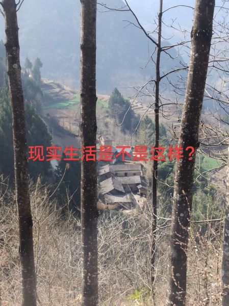 现实图片大全怎么找_现实图片大全有哪些分类