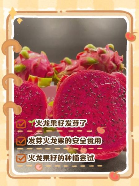 火龙果的籽宝宝能吃吗_宝宝吃火龙果籽安全吗