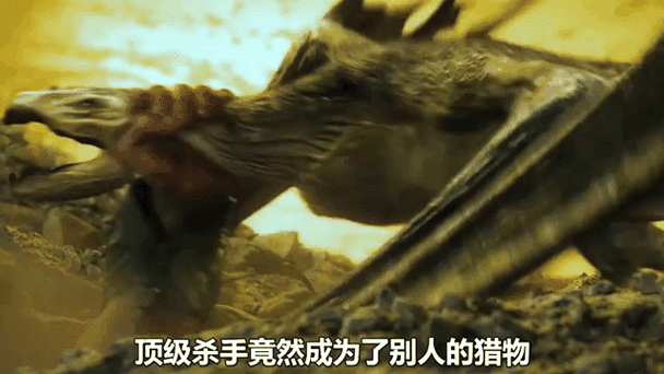 星际传奇1迅雷下载_哪里能看高清完整版