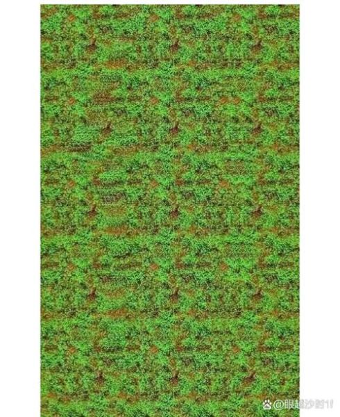 三维图片大全哪里找_三维立体图怎么看