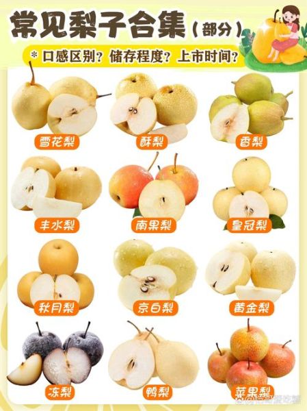 梨图片大全_如何挑选高清梨图