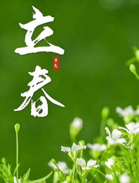 立春图片大全_如何挑选高清节气壁纸