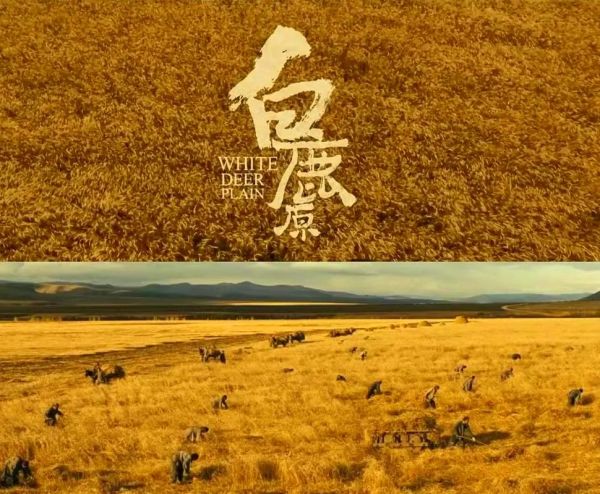 白鹿原迅雷下载_白鹿原高清资源在哪找