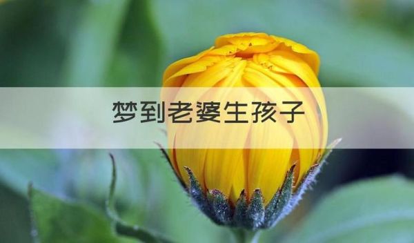 梦到媳妇怀孕是什么意思_周公解梦准吗