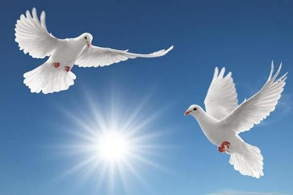 梦到总统是什么预兆_梦见总统代表什么