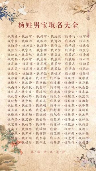 杨姓宝宝取名大全_如何给杨姓宝宝起个好名字