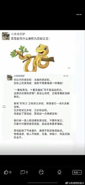 梦到菜花蛇是什么意思_梦到菜花蛇是吉是凶