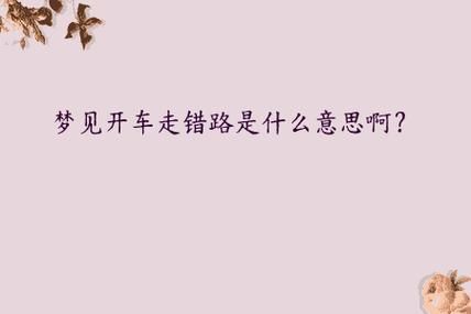 孕妇梦到开车是什么意思_孕妇梦见自己开车预示着什么