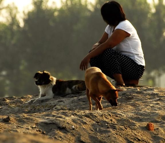 女人与狗迅雷下载_如何安全获取高清资源