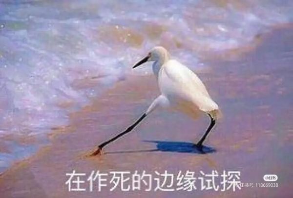 作死图片大全哪里找_作死图片大全怎么保存