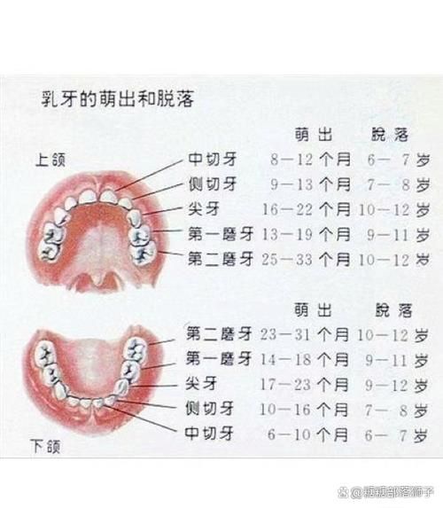 八个月没长牙正常吗_宝宝八个月还没长牙怎么办
