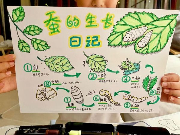 蚕长什么样_蚕的生长过程图片