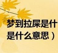 梦到很多屎是什么意思_梦见屎预示什么